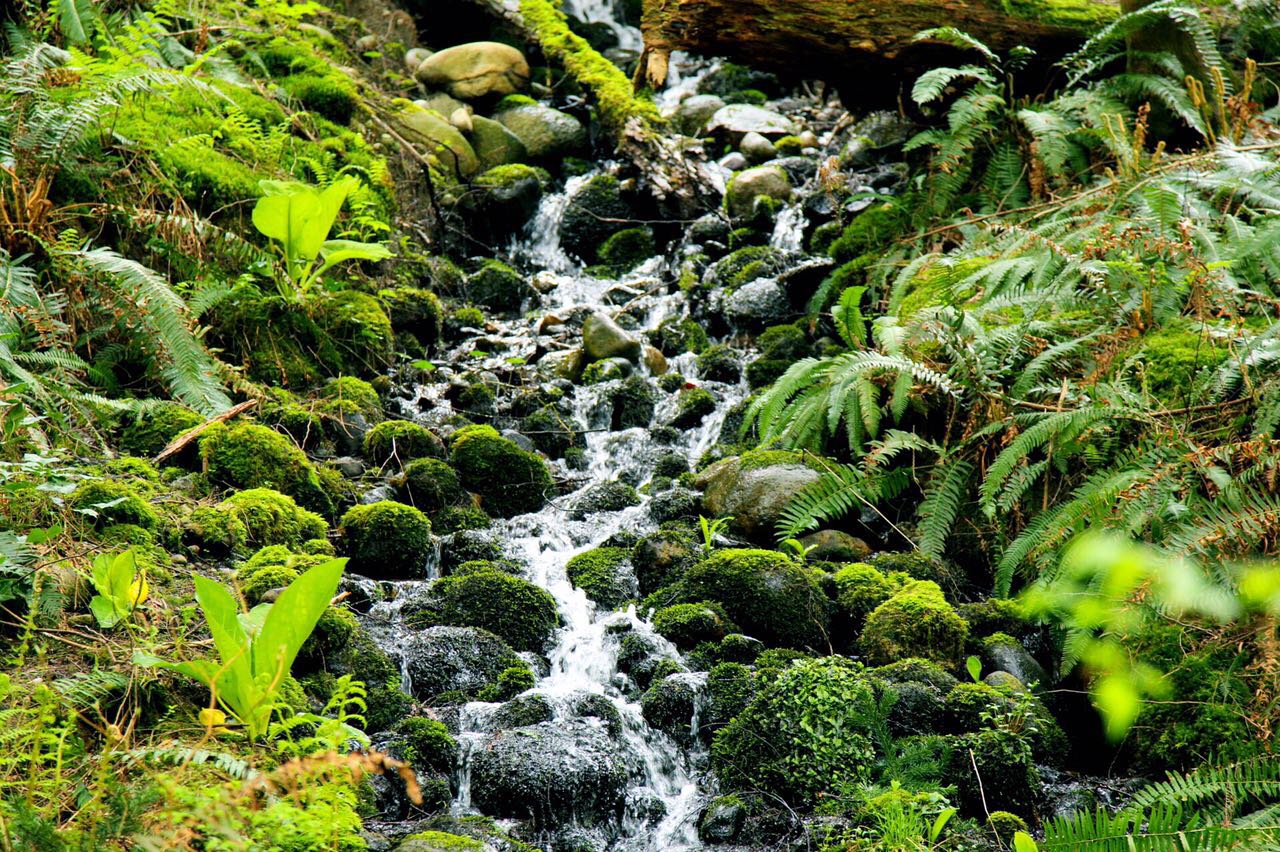 七十迈分享—14天玩儿转加拿大枫叶之国自驾游之旅（二）