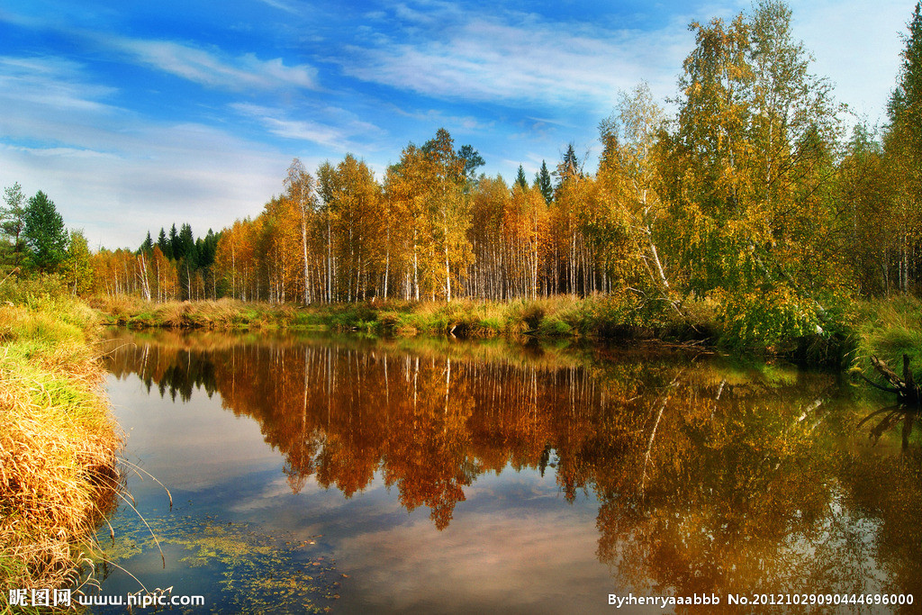 濂囨閽╂矇灏忚,濂囨閽╂矇鐪熷疄鏁呬簨