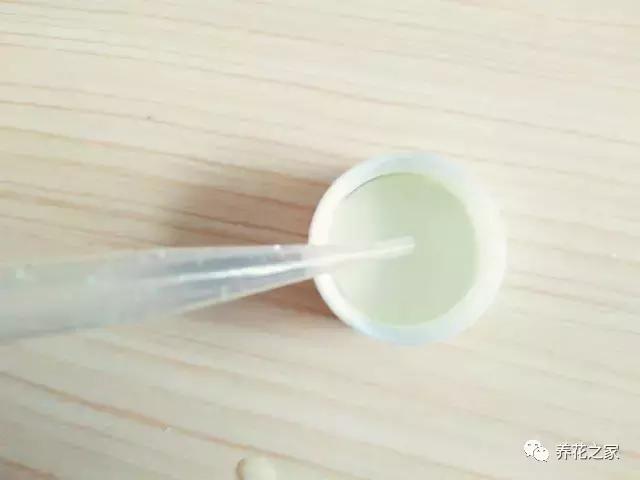 怎样知道花盆土壤酸碱度,怎样改变花盆的碱性