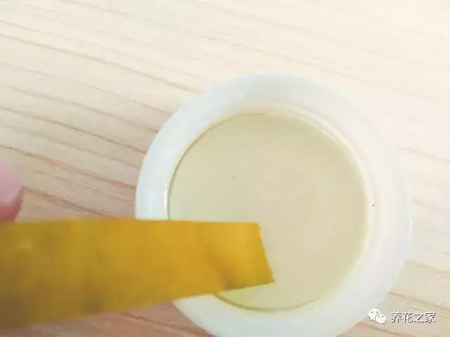 怎样知道花盆土壤酸碱度,怎样改变花盆的碱性