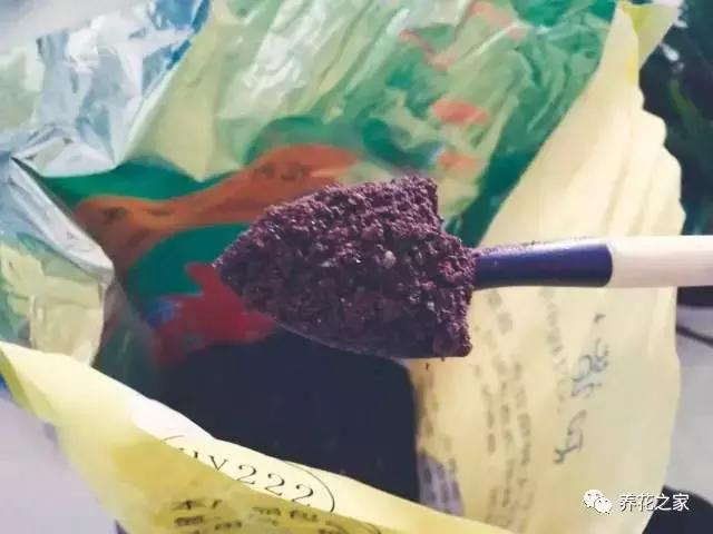 怎样知道花盆土壤酸碱度,怎样改变花盆的碱性