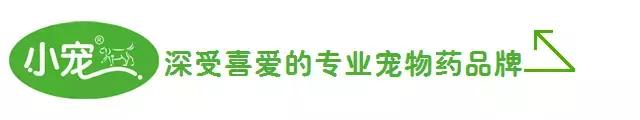 狗狗便血了？！养宠一定要知道的狗狗血便原因