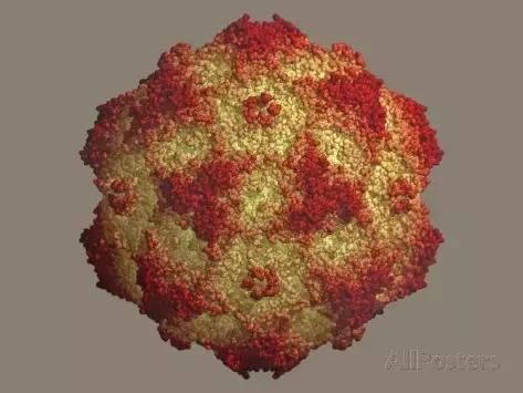 狗狗便血了？！养宠一定要知道的狗狗血便原因