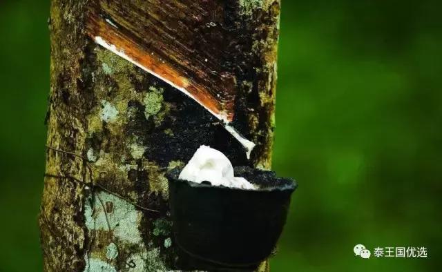 乳胶枕头真假海南,如何鉴别乳胶枕头的真假与好坏