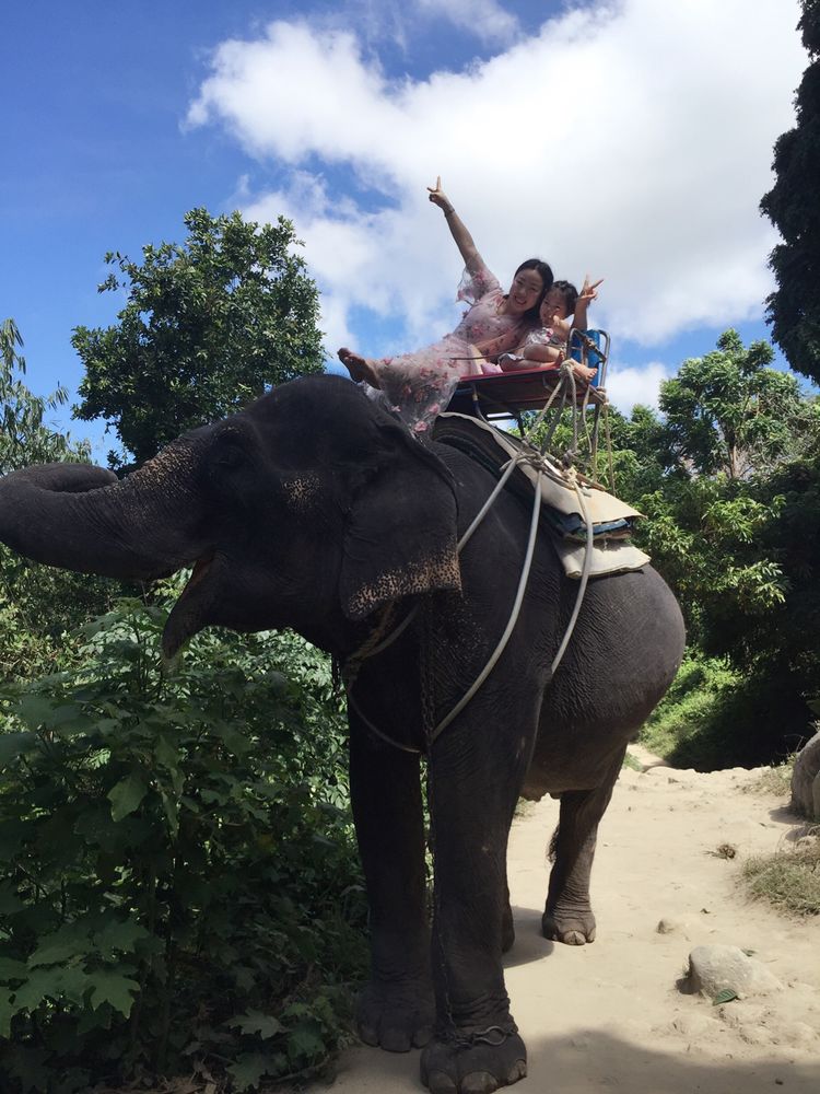 带你一起泰国旅游,清迈普吉自由行