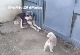 为了娶老婆坚持买了三年彩票,牛人娶老婆