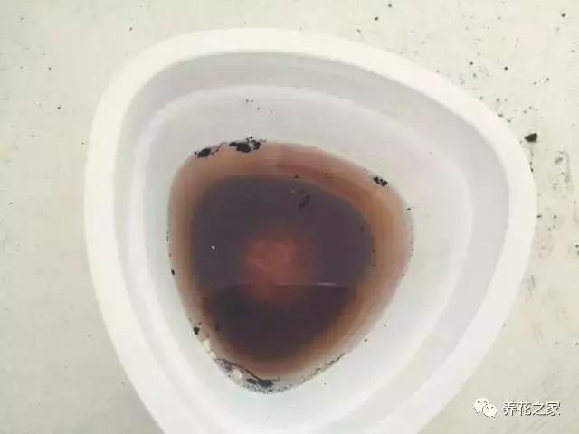 怎样知道花盆土壤酸碱度,怎样改变花盆的碱性