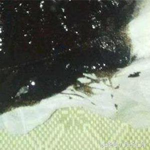 宝宝便便说明健康,宝宝便便有奶瓣颗粒还是绿色的