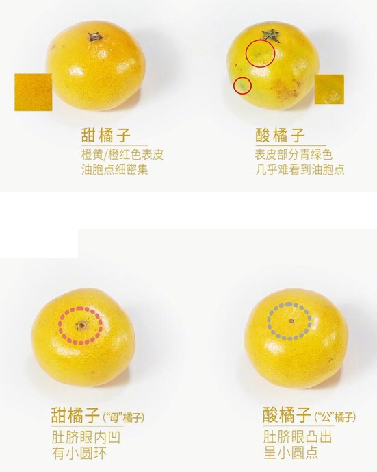 买到了不新鲜的水果怎么办,卖不掉的水果怎么处理