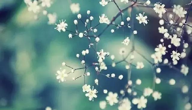 警惕慢性结肠炎带来的危害,慢性结肠炎对眼睛有什么危害吗