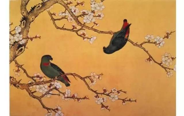 为什么说腊梅是梅花,陆游眼中的梅花是怎样的