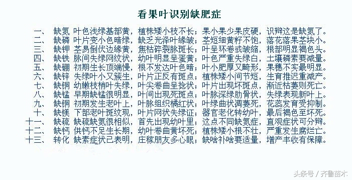果树苗长势不旺什么原因,果树缺了这九种元素可得抓紧补