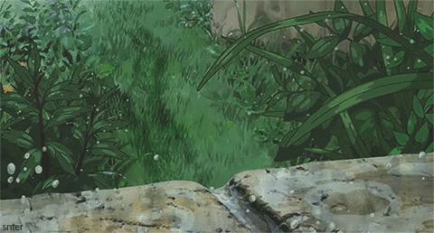 5鏈堜唤鎵︽彃浣曟椂鍙互涓婄泦,澶忓ぉ鎵︽彃鐨勬柟娉曞拰娉ㄦ剰浜嬮」