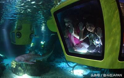 全球最大乐高乐园落户深圳,亚洲第一个乐高主题公园