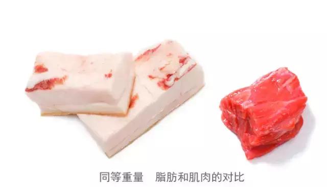 鐪嬪畬杩欎釜瑙嗛浣犱細鐢ㄧ敓鍛藉幓鍑忚偉,鐪嬪畬杩欎簺浣犱細鐢ㄧ敓鍛藉幓鍑忚偉