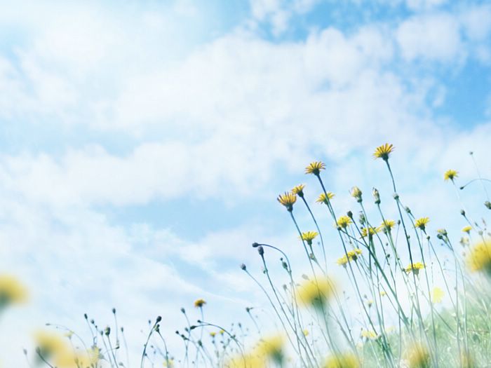 静电鱼运势,静电鱼运动视频