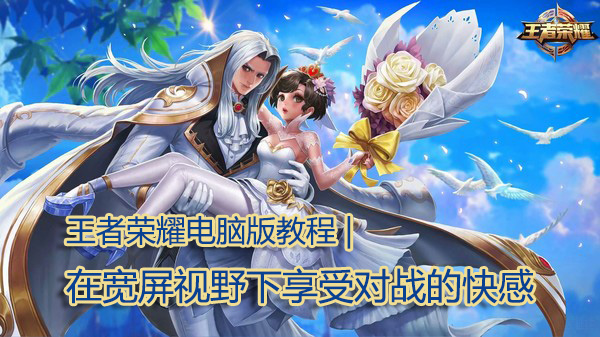 王者荣耀宽屏,王者荣耀电脑版怎么操作更简单
