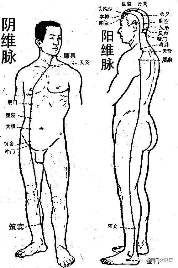 奇经八脉理论完整版,奇经八脉详解视频