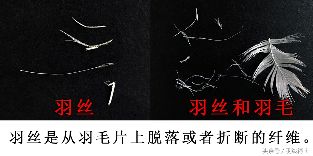 生产假冒伪劣羽绒服,羽绒服假冒伪劣产品