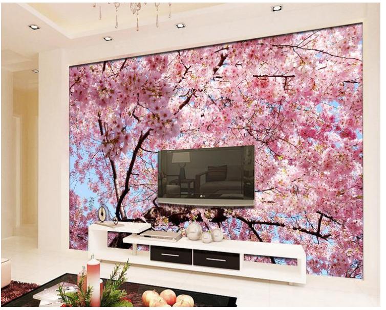 飞利浦彩电与松下哪个好,透视电视机