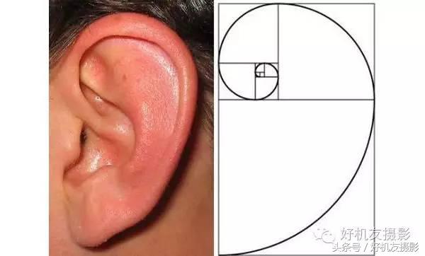 简单介绍黄金分割线构图法的原理,黄金分割线原理