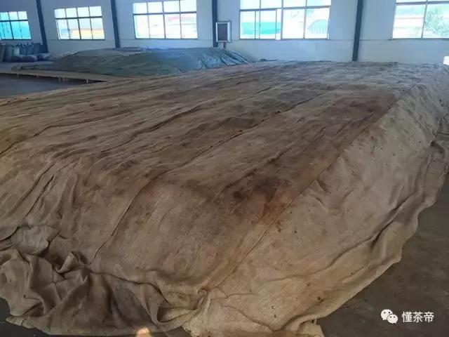 喝普洱茶后牙齿发酸是怎么回事,普洱茶发苦什么原因