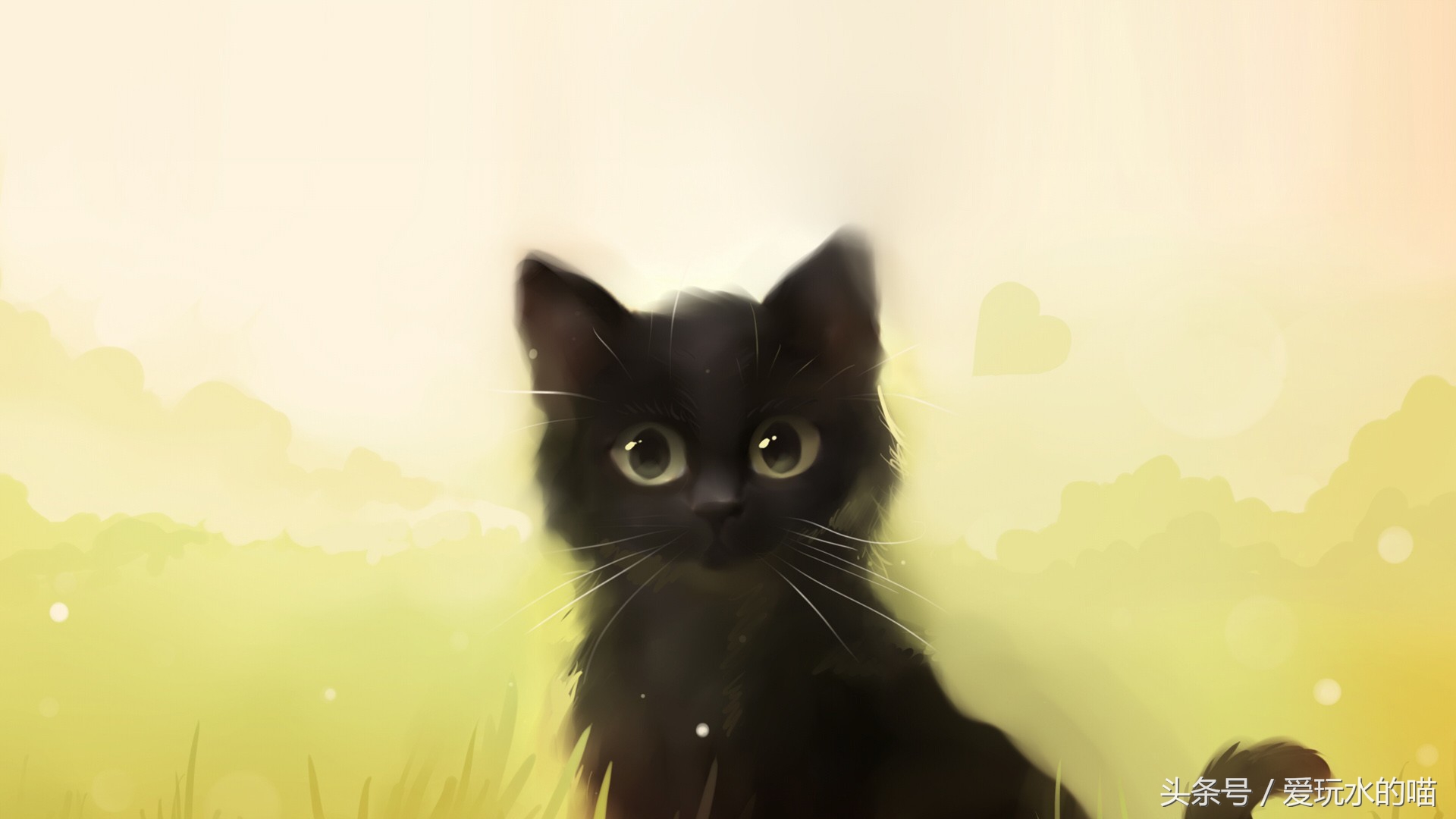 新手养猫怎么预防猫癣加重,养猫知识猫咪伤口抹什么消炎药