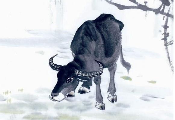 57岁属牛人的一生,66岁属牛人的一生