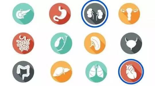 中医虚寒症有哪些,冬病夏治知识大全