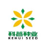 翻了好几倍的股票有哪些,已经翻了10倍的股票有哪些