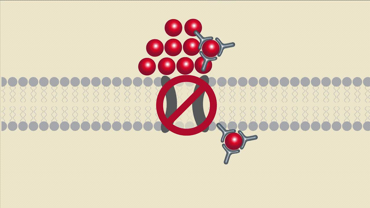 《科学》：难以置信！美国三所高校联合发现神奇小分子，开启疾病治疗新方向｜奇点猛科技