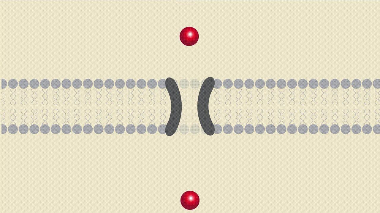《科学》：难以置信！美国三所高校联合发现神奇小分子，开启疾病治疗新方向｜奇点猛科技