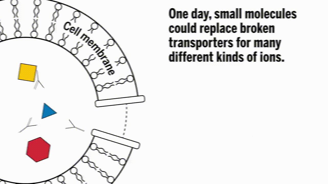 《科学》：难以置信！美国三所高校联合发现神奇小分子，开启疾病治疗新方向｜奇点猛科技