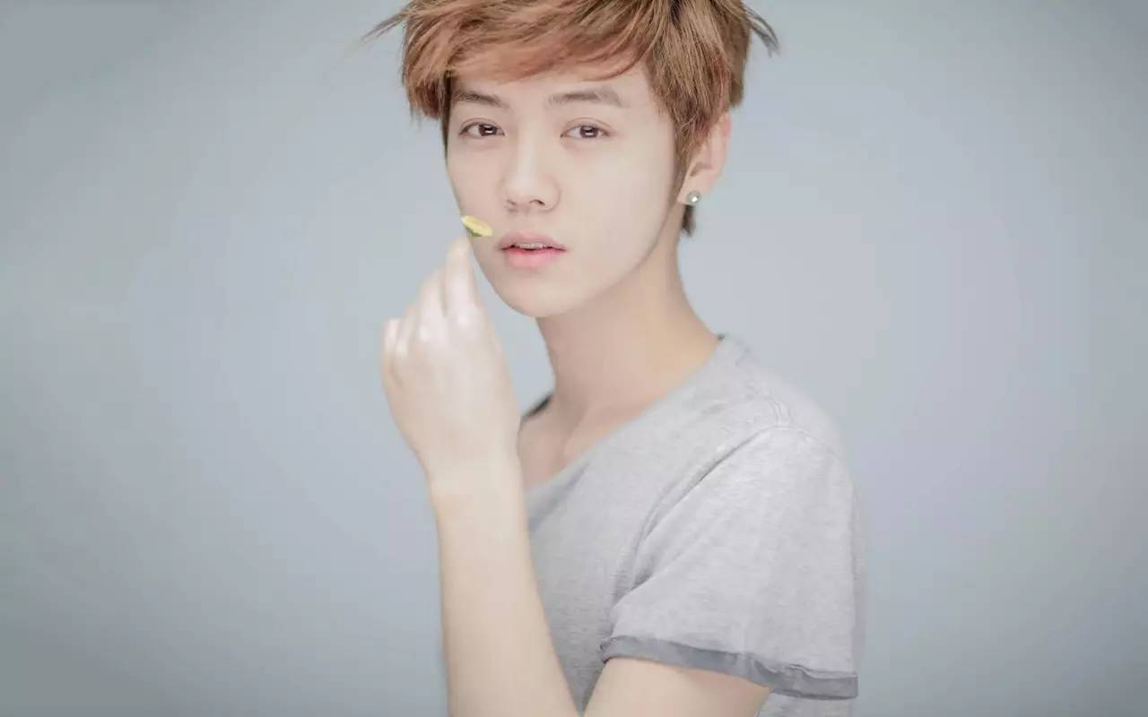 鹿晗森林里的小鹿,鹿晗杨树林