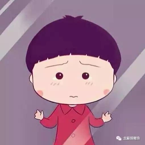 锦鲤一年投喂高蛋白,锦鲤喂食怎么就不怕人了