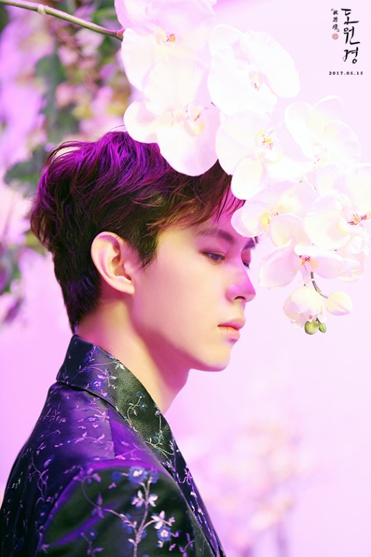 「VIXX」「盘点」170517名！不！虚！传！美丽温暖且神秘莫测的《桃源境》MV拍摄现场