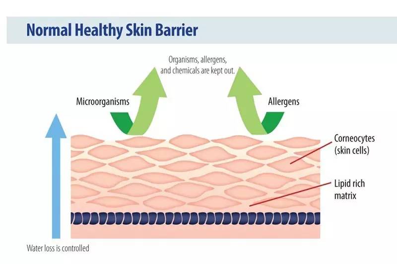 人传染了猫癣还会传染给其他人吗,得了猫癣会烂哪里