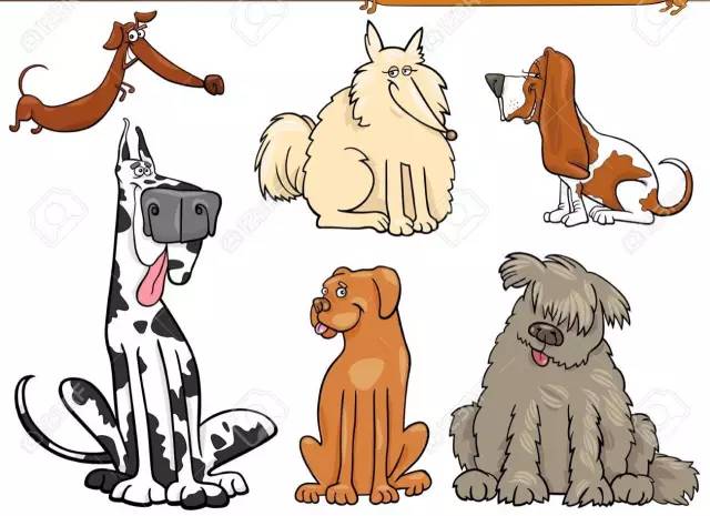 长毛狗狗怎么修剪才好看,狗狗冬天毛发护理