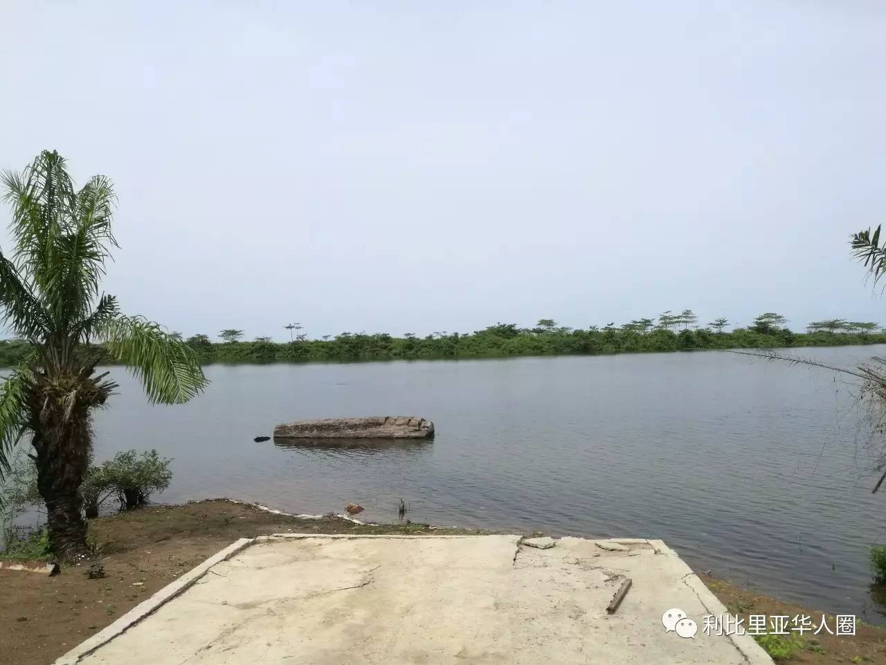 从你们的全世界路过——格林威尔防暴队营区