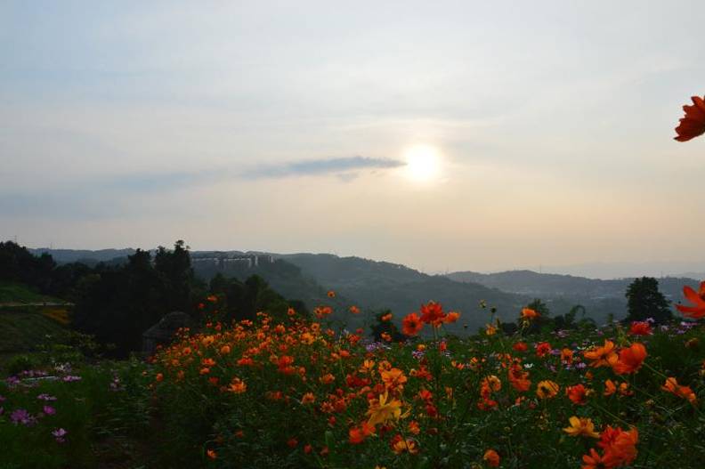 重庆比较高端的带会议室农家乐,重庆哪些好的农家乐可以玩