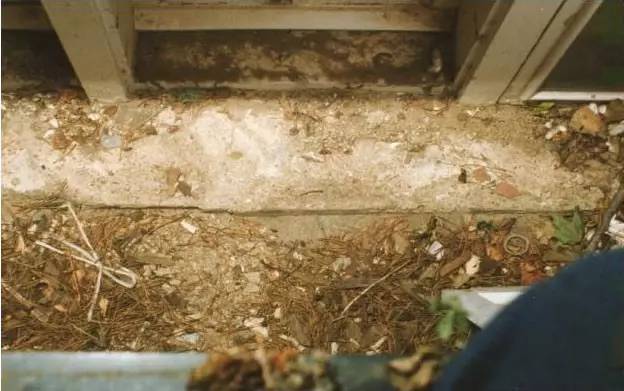 美国童星被杀,美国童星被杀案