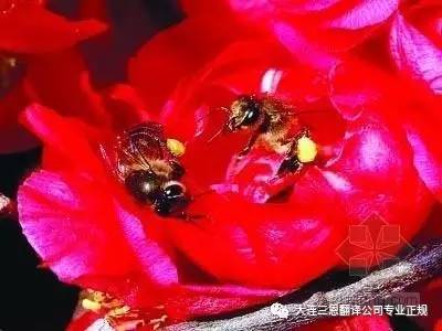 母亲节妈妈快乐的源泉,母亲节快乐母爱是一种力量