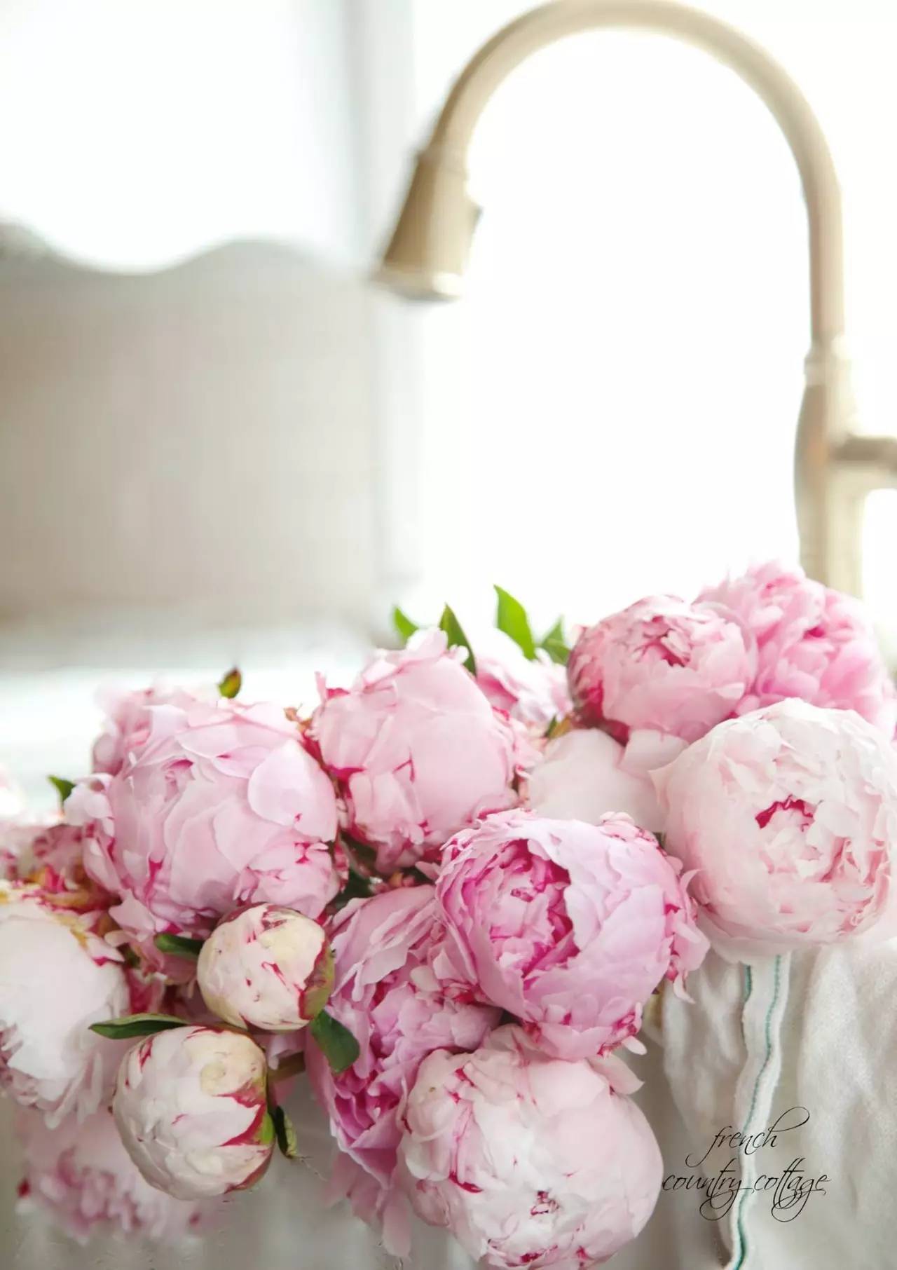 除了康乃馨还可以送母亲什么花,母亲节适合送妈妈的花康乃馨