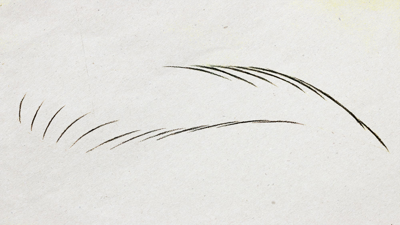 纹绣手工线条眉针片,纹绣线条眉画法初学者