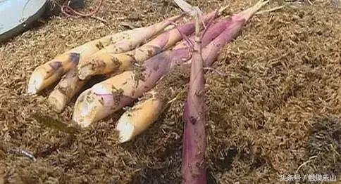 对不起，我要去夹江“区”了！