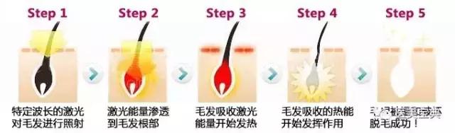 脱毛不小心刮掉一层皮怎么办,脱毛不小心刮伤补救