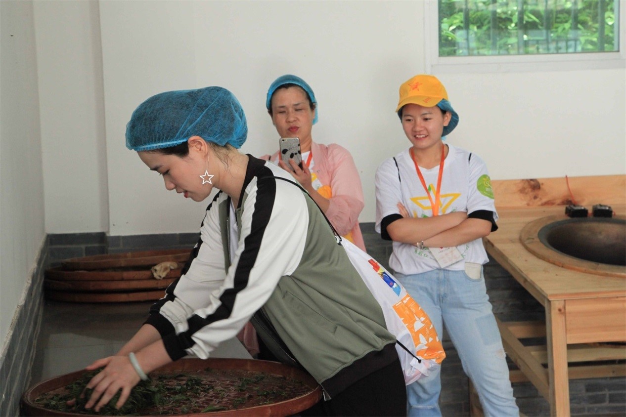 武夷星茶洞肉桂201品鉴,武夷山春茶