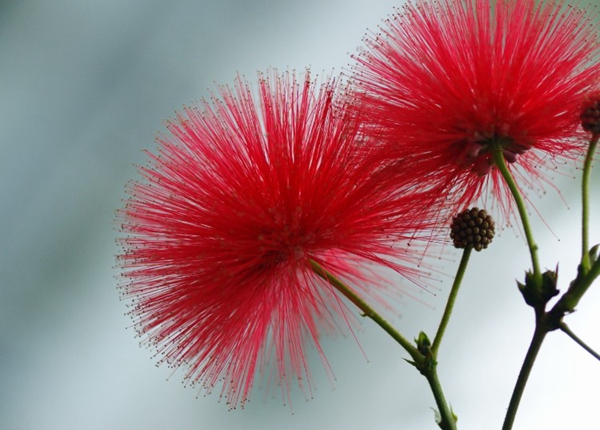 5月20日我爱你视频素材,520我爱你情人节视频