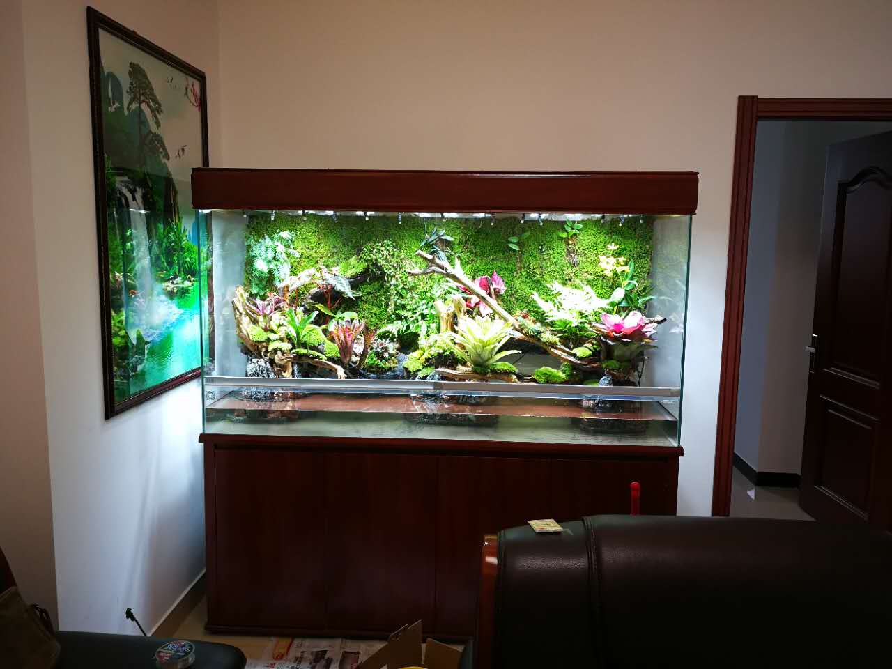 水族店发展思路,水族店开在哪里合适