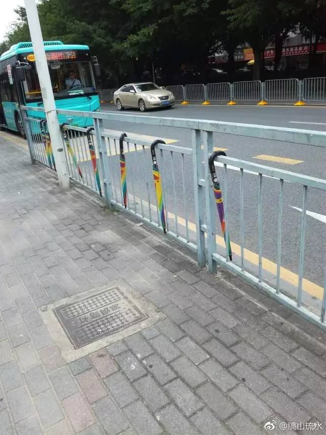 共享家庭新成员的欢乐,共享家族再添一员共享衣橱成新宠